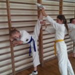 Obóz sportowy - Taekwondo