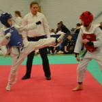 Mistrzostwa Województwa Lubelskiego w Taekwondo Olimpijskim oraz VIII Mikołajkowy Puchar Łopiennika w Taekwondo