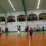Wojewódzka Liga Badmintona