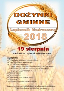 Dożynki Gminne